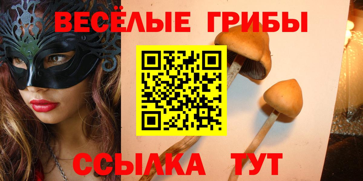 Камышин  где купить наркотик  Вход с VPN  Галлюциногенные грибы Cubensis 